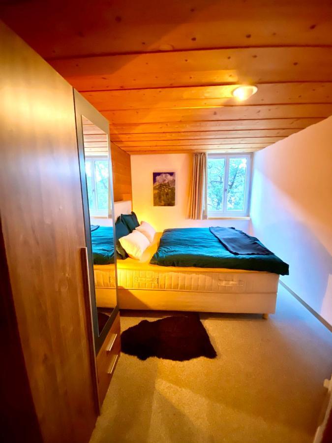 Appartement Aareschlucht- Grandiose Aussicht Fuer 2-6 Pers. Мейринген Экстерьер фото