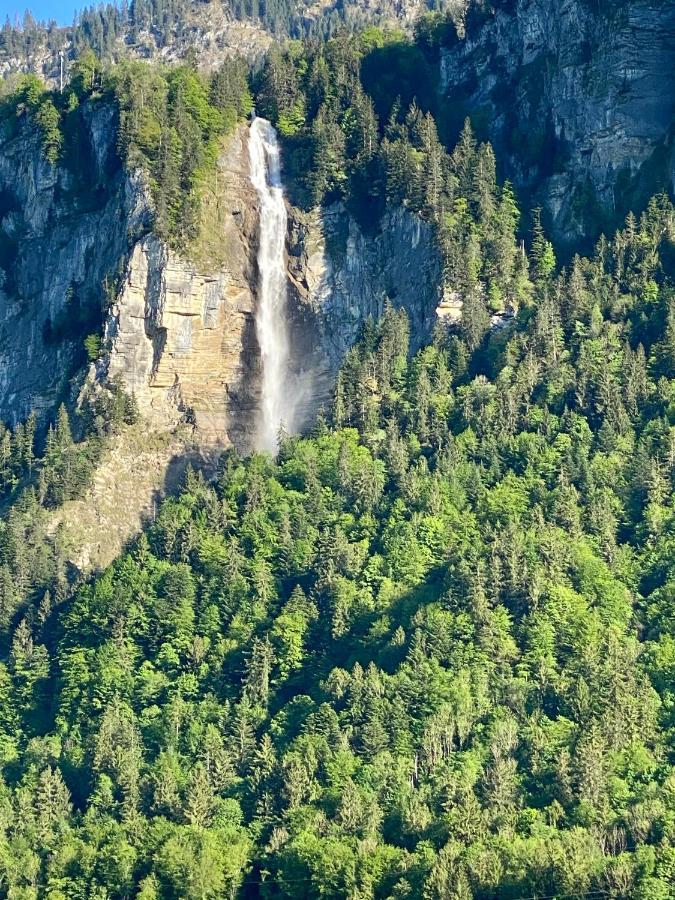 Appartement Aareschlucht- Grandiose Aussicht Fuer 2-6 Pers. Мейринген Экстерьер фото