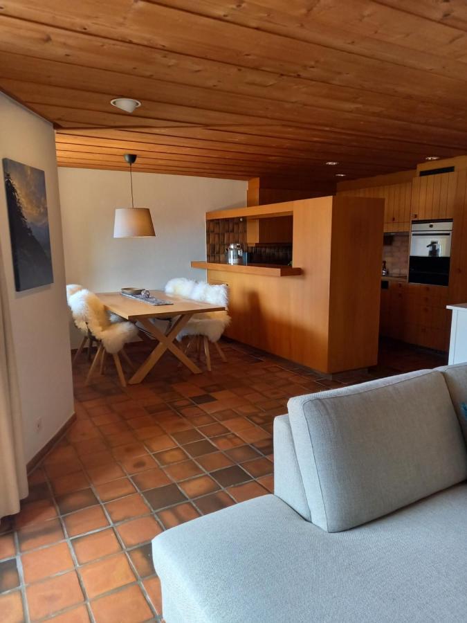Appartement Aareschlucht- Grandiose Aussicht Fuer 2-6 Pers. Мейринген Экстерьер фото