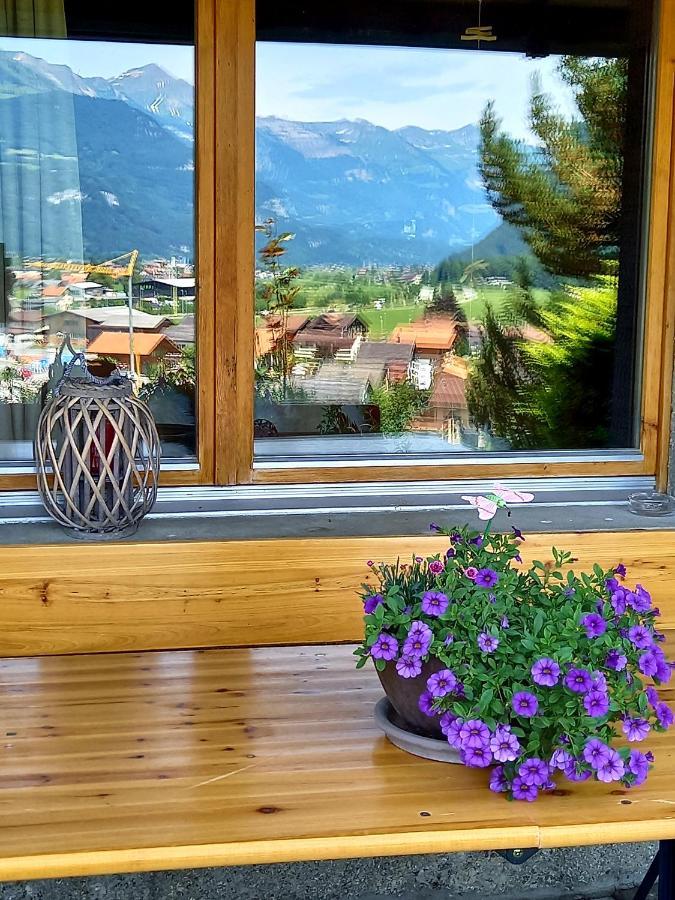 Appartement Aareschlucht- Grandiose Aussicht Fuer 2-6 Pers. Мейринген Экстерьер фото